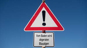 Darmstadt: Blaualgengefahr an der Grube Prinz von Hessen