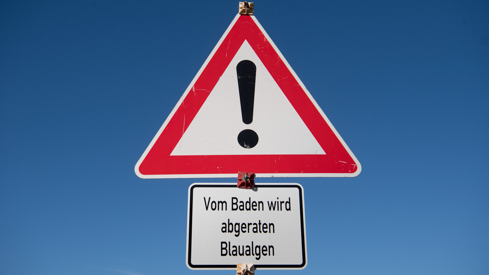 Symbolbild mit einem Schild «Vom Baden wird abgeraten - Blaualgen» 