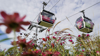 BUGA 2023 als Top-Reiseziel: Endspurt bei Bundesgartenschau Mannheim