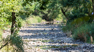 Wegen Trockenheit in Wiesbaden: Kein Wasser aus Bächen und Seen nehmen
