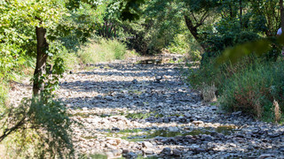 Wasser-Entnahmeverbot im Vogelsberg ab Sonntag