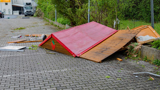 Unwetter über Hessen: Hund und Herrchen nach Blitzeinschlag gerettet