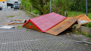 Unwetter über Hessen: Hund und Herrchen nach Blitzeinschlag gerettet