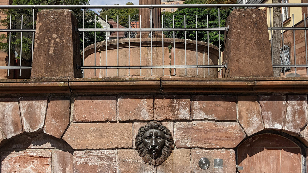 Bäume spielen als sogenannte grüne Infrastruktur in der Stadt eine wichtige Rolle im Klimaschutz und für die Anpassung an die Folgen des Klimawandels. 