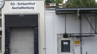 Schlachthof-Skandal in Aschaffenburg: Staatsanwaltschaft ermittelt