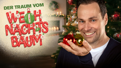 Der Traum vom Weihnachtsbaum – Kugeln finden und gewinnen