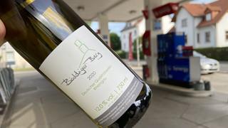 Kaum Trauben: Keine Weinernte am Böddiger Berg