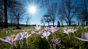 Gartenarbeit im Frühling: Jetzt ist Zeit zum Stutzen