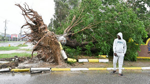 Jahrhundert-Hurrikan "Melissa" fegt über Jamaica