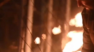 Kleine Feuer in Sachsen: Weinbauern schützen ihre Reben