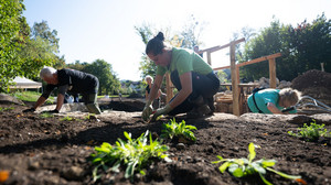 380 Freiwillige in Oberhessen So wird die Landesgartenschau