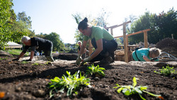 380 Freiwillige in Oberhessen So wird die Landesgartenschau