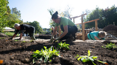380 Freiwillige in Oberhessen So wird die Landesgartenschau