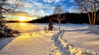 Wetterlage, Schnee und Lifte: Neues Internetportal für Rhön-Touristen