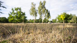 Forscher: Extreme Trockenheit der Böden in Deutschland ist vorbei