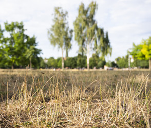 Vogelsbergkreis und RhönEnergie: Wasser sparen!