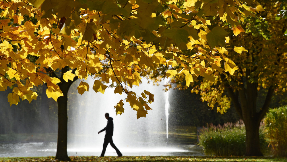 Der Kurparkteich in Bad Hersfeld wird ab heute entschlammt (Archivbild). 