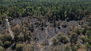Waldbrand in Niederrodenbach, Minister Jung war vor Ort