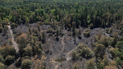 Waldbrand in Niederrodenbach, Minister Jung war vor Ort