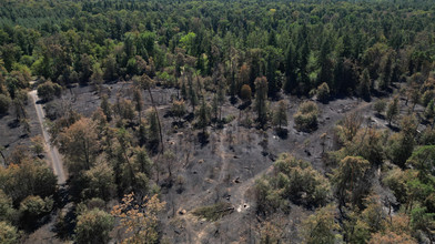 Waldbrand in Niederrodenbach, Minister Jung war vor Ort
