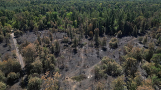 Waldbrand in Niederrodenbach, Minister Jung war vor Ort