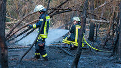 Gefährlicher Einsatz durch Waldbrand bei Bad Schwalbach