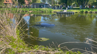 22-Jähriger steigt in fremdes Auto und versenkt den Wagen in der Werra