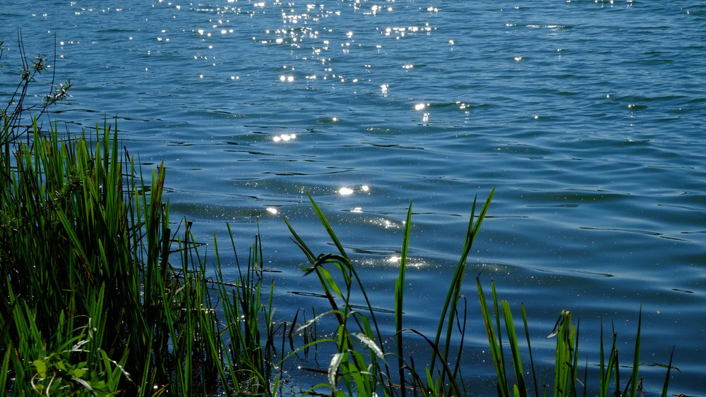 Planschen in Hessens größtem Naturbadesee