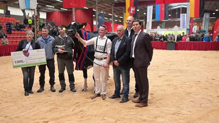 «Miss Ostfriesland» gekürt – Kuh Alge holt den Titel