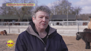 Abgezockt durch Fake-Anzeige