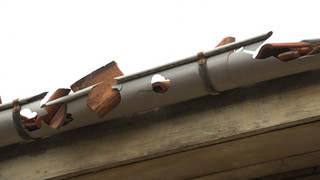 Mainzer Polizei nimmt "Dachrinnenbetrüger" fest