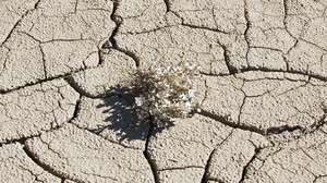 Ein El Niño steht an - was das für die Welt bedeutet