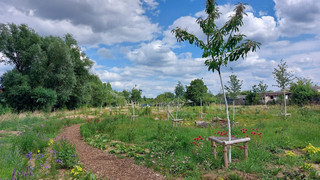 Nach Feierabend in den Waldgarten: Kassel lädt zum Mitgärtnern ein