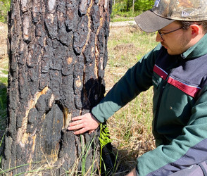 Waldbrand-Gefahr in Hessen: Das solltet ihr beachten