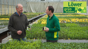 Punkte sammeln für Frühlingsfreude daheim