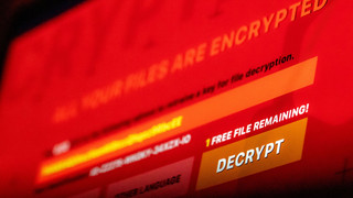 Schlag gegen Cybercrime - Täter im russischsprachigen Raum