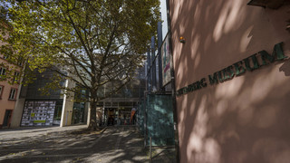 Mainzer Museumsnacht: Kultur und Unterhaltung für Nachteulen