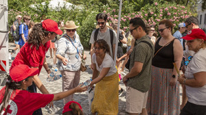 Waldbrände auf Rhodos: Evakuierung - Tui streicht Reisen nach Rhodos