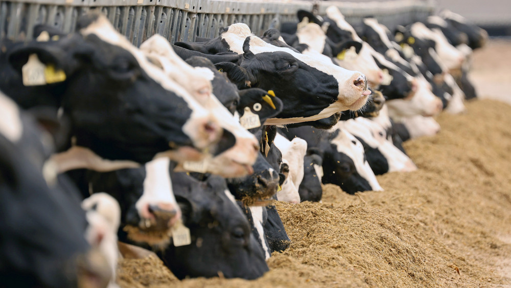 Es solle einfacher werden, Fleisch, Milch und Getreide ohne weite Transportwege zu verarbeiten, kündigte Minister Jung an.