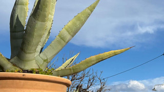 Reisetipp Griechenland: Roadtrip Kassandra