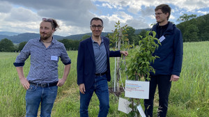 Pionier-Projekt in Eschwege: Cem Özdemir besucht Agroforst-Anbau