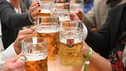 Krone Wiesen in Darmstadt