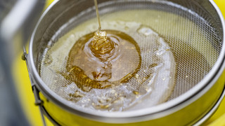 Einbruch in Schule in Hemsbach: Honig-Klau führt zu Festnahme