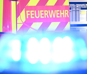 Gersfeld: Baum kracht knapp vor Auto auf die Straße