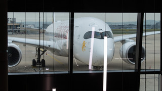 Putin beendet Beteiligung von Fraport mit Flughafen St. Petersburg