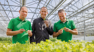 Punkte sammeln für Pflanzenfreude daheim