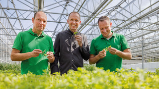 Punkte sammeln für Pflanzenfreude daheim