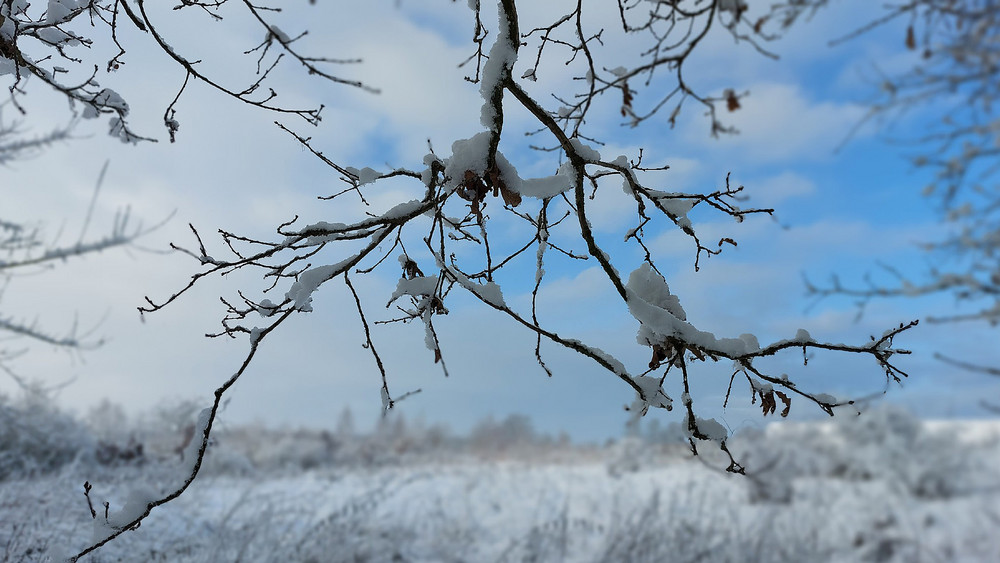 Zeigt uns eure Winterbilder