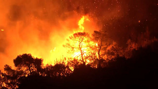 Ein Toter: Kampf gegen Wind und Flammen in Griechenland geht weiter