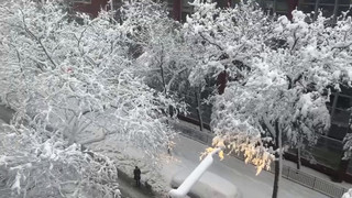 Ausnahmezustand an der US-Ostküste: Blizzard sorgt für massives Schneechaos